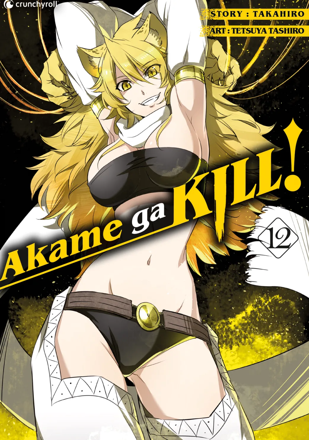 Akame ga KILL! - Band 12 (Deutsch)