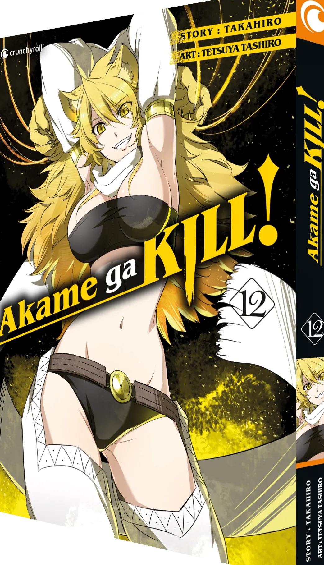 Akame ga KILL! - Band 12 (Deutsch)