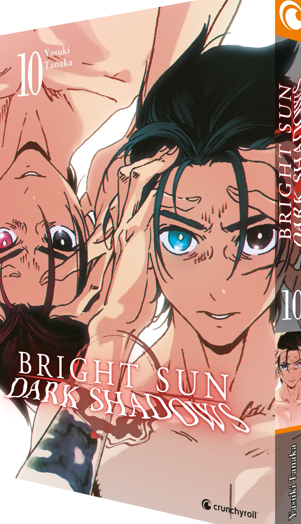 Bright Sun - Dark Shadows - Band 10 (Deutsch)