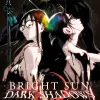 Bright Sun - Dark Shadows - Band 11 (Deutsch)
