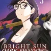 Bright Sun - Dark Shadows - Band 3 (Deutsch)