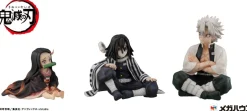 Demon Slayer Kimetsu no Yaiba statuette PVC G.E.M. Shinazugawa-san Palm Size Special Edition 9 cm (Französisch)