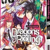 Dragons Rioting - Band 9 - Final (Deutsch)