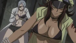 Ikki Tousen: Xtreme Xecutor - 4. Staffel - Blu-ray Gesamtausgabe NEU (Deutsch)