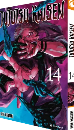 Jujutsu Kaisen - Band 14 (Deutsch)