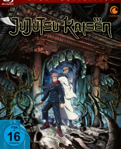 Jujutsu Kaisen - Blu-ray Band 1 - Limited Edition mit Sammelbox (Deutsch)