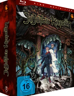 Jujutsu Kaisen - Blu-ray Band 1 - Limited Edition mit Sammelbox (Deutsch)