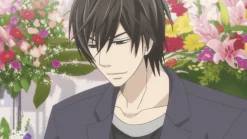 Junjo Romantica - 3. Staffel - Blu-ray Band 1 - Limited Edition mit Sammelbox (Deutsch)