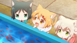 Nyanko Days - Gesamtausgabe - Blu-ray (Deutsch)