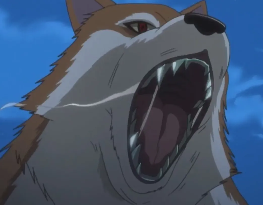 Spice & Wolf - Blu-ray Band 2 (Deutsch)
