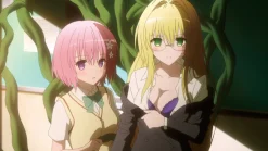 To Love Ru - Darkness 2nd - 4. Staffel - Blu-ray Band 2 (Deutsch)
