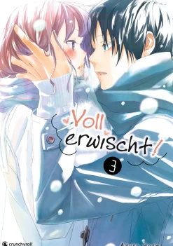 Voll erwischt! - Band 3 (Deutsch)