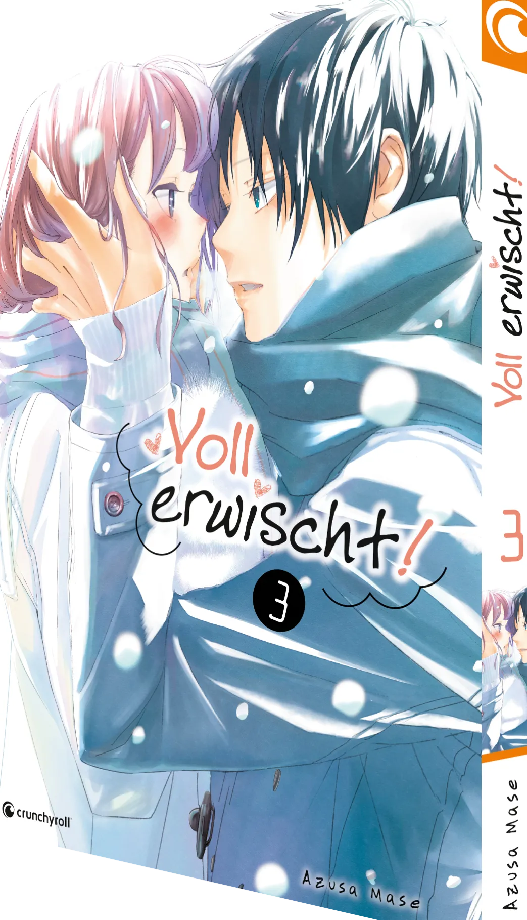 Voll erwischt! - Band 3 (Deutsch)